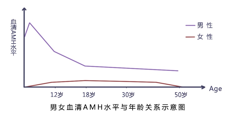 龙8-long8(国际)唯一官方网站_image2592